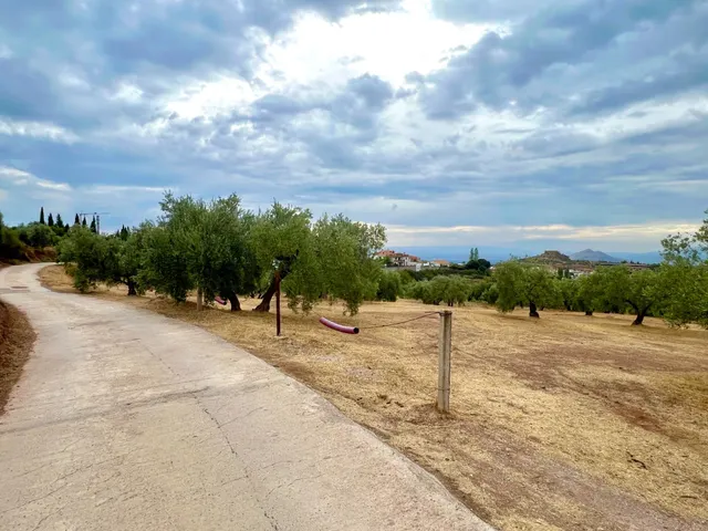 NIVAR - FINCA DE OLIVOS — 6