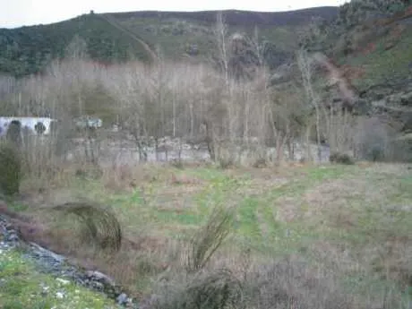 Terreno rural 10000m² en venta - Vega de espinareda - foto 5