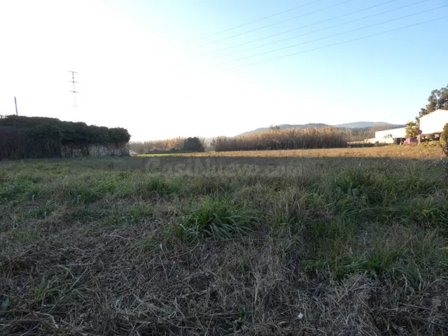 SANT JOAN DE PALAMÓS: Se vende terreno rústico de 3.500 m2. 