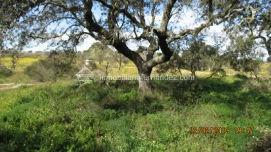 Se vende Parcela de 8.200 m2 vallado, en Arroyo de la Luz - foto 2