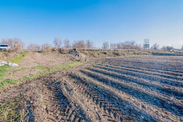 Excelente finca de regadío en la Vega de Granada, con acceso directo — 23