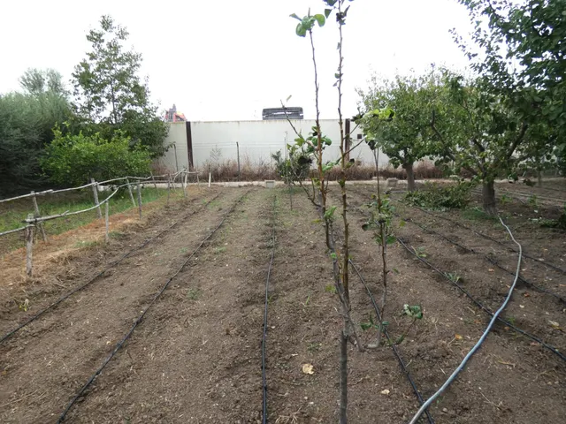 +Oportunidad Única: Casa para Reformar en Entorno Rural y Ecológico+ — 15