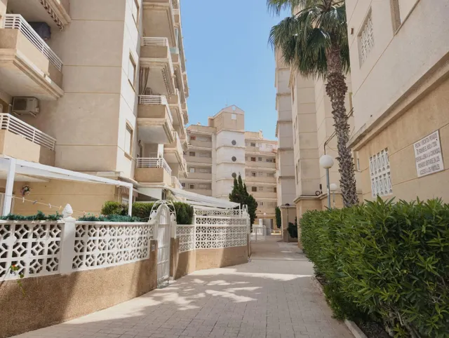 Apartamento reformado con piscina comunitaria, Alicante, Torrevieja. 3 habitaciones | 60 m2 | A 300 metros del mar — 33
