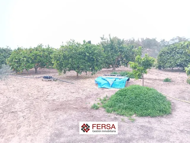 FERSA INMOBILIARIA VENDE EN EXCLUSIVA CASA CON GRAN PARCELA  - foto 5