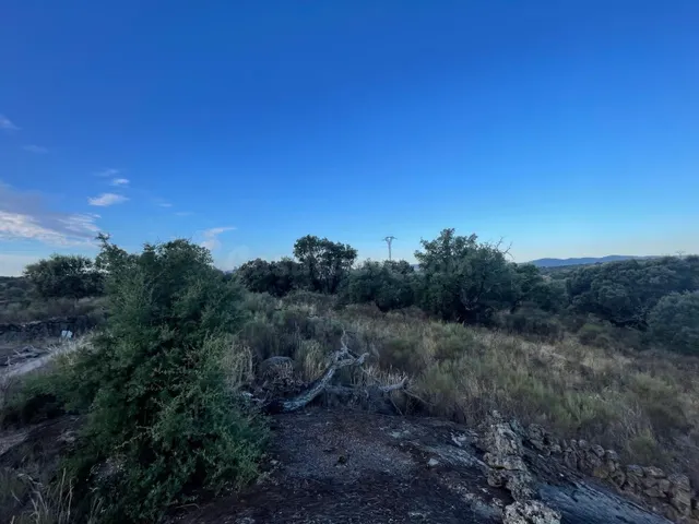 TERRENO RUSTICA CON ENCINAS EN ALDEA DEL CANO - foto 2