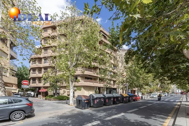 Pisazo en paseo del salón - Granada — 44