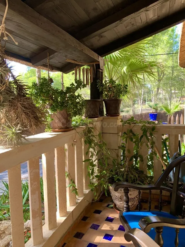 Villa de estilo mallorquín con amplio jardín de pinos en Cala Vinyes — 4