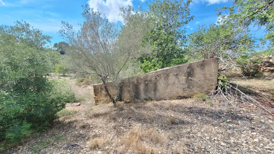 Finca rústica con encanto cerca de El Perelló – 23.000 m2 de naturaleza y tranquilidad