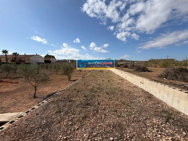 CASA REFORMADA CON TERRENO RÚSTICO DE 3.000 M2 EN ÚBEDA – PINOSO — 38