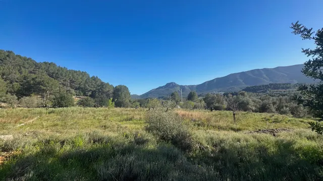 Parcela rústica edificable en entorno natural privilegiado — 8