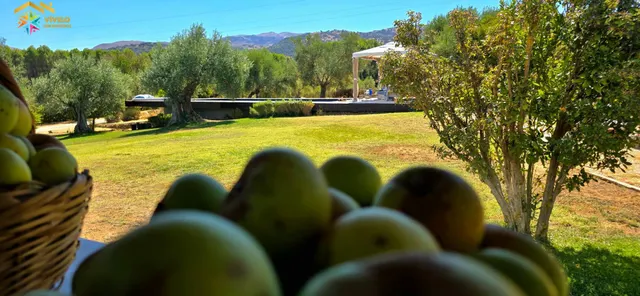 LUXURY HOME EN RONDA EN FINCA DE 10.571 M2 — 26