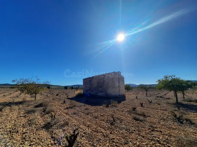 FINCA RÚSTICA EN ALMANSA — 3