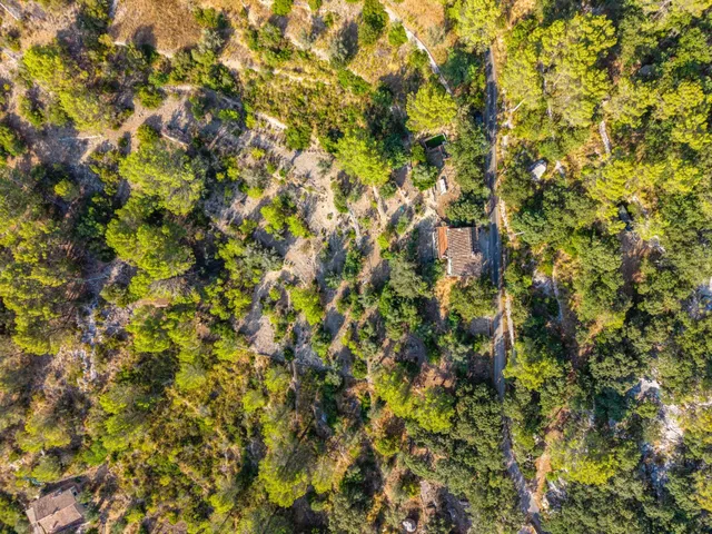 Finca rústica en plena Serra de Tramuntana Puigpunyent — 47