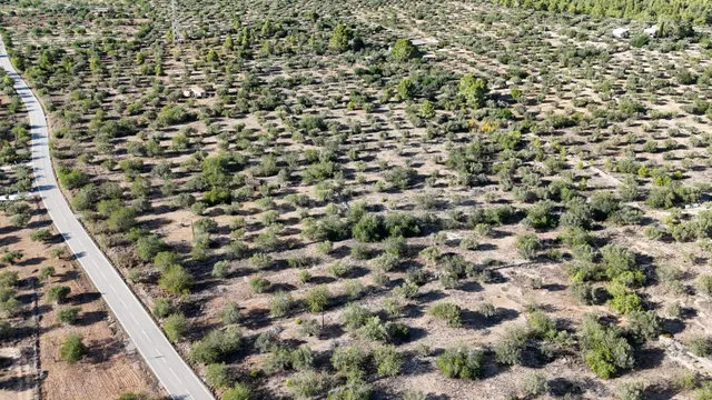 Transforma el campo en tu hogar ideal. - foto 4