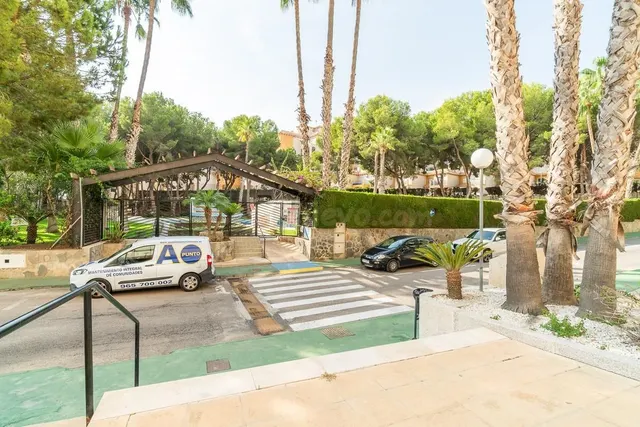 Apartamento 3 habitaciones 95m² en venta - Altos de Campoamor — 27