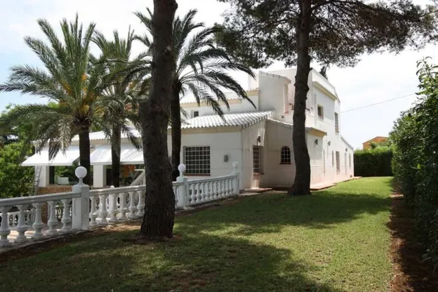 Magnifica finca — 2