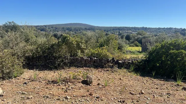 Se vende finca rústica con caseta en Marratxí — 7
