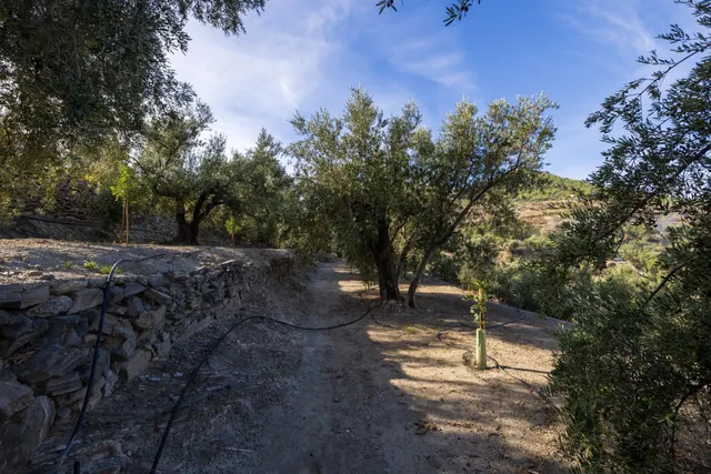 Finca rústica en venta en Pinos del Valle (Valle de Lecrín) — 47