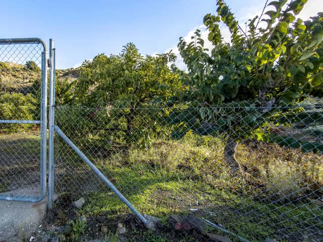 Finca rústica de AGUACATES con CONTRUCCIÓN de 37 m2 en Los Guájares (Faragüit) — 34