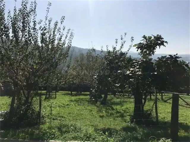 Encanto asturiano: casa con hórreo, cochera y finca edificab - foto 2