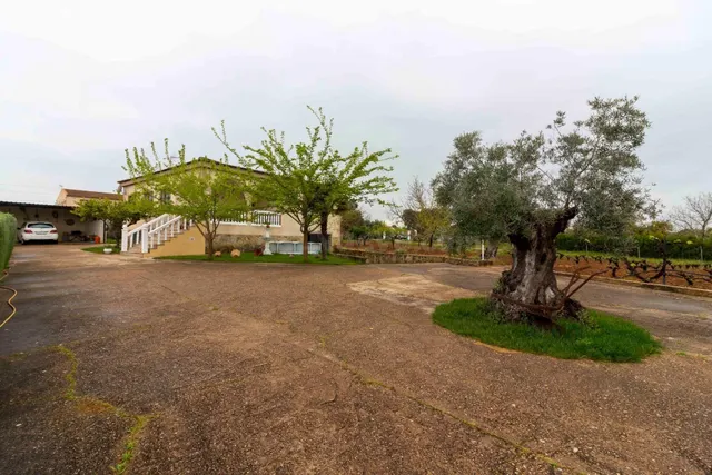 A UN PASO DE BADAJOZ… TU REFUGIO PARA DISFRUTAR SIN PRISAS - foto 4