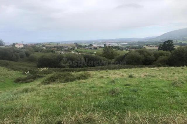 Finca rústica en venta - Revilla