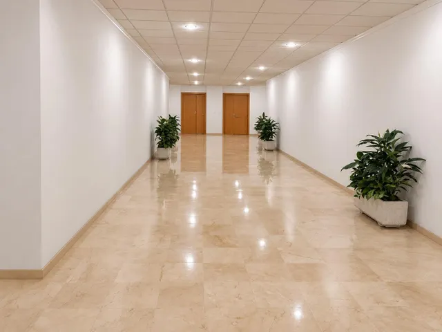 Amplio local comercial de 250 m2 acondicionado como oficinas en Avenida de Alicante, Altabix – Elche — 26