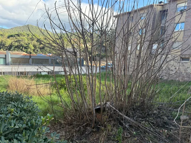 SOLAR EN VENTA EDIFICABLE EN SANT MARTI DE CENTELLES - foto 5