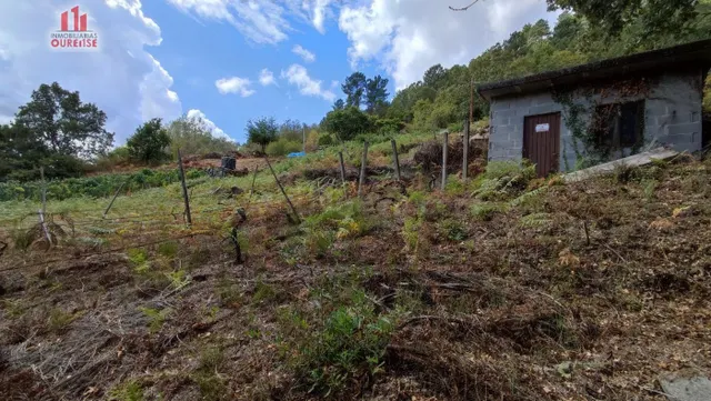 FINCA RUSTICA CON GALPON EN LA ZONA DE CASTRO DE BEIRO (AMOE - foto 4