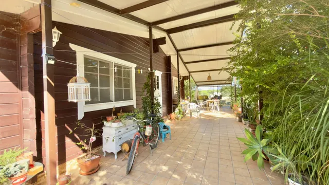 Finca rural con casa, casa auxiliar y 350 oliveras | los valientes — 19