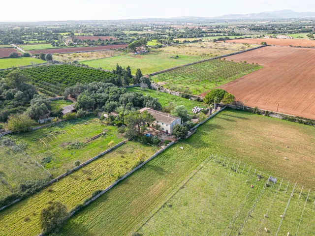 Magnifica finca rústica en la zona de Porreres. - foto 2