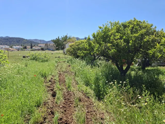 Terreno rústico de 3.413 m2 en Alhaurín de la Torre para proyectos rurales — 4