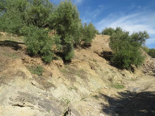 SUELO RÚSTICO NO URBANIZABLE - ZAHARA DE LA SIERRA (CÁDIZ) — 6