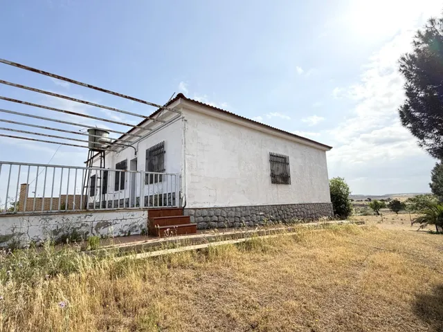 FINCA CON CASA EN TERMINO LA HABA - foto 4