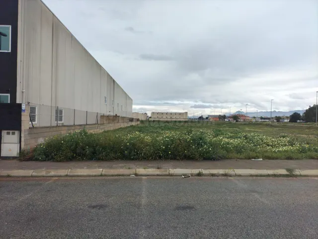 PARCELAS EN POLIGONO VIRGEN DEL CARMEN - foto 4