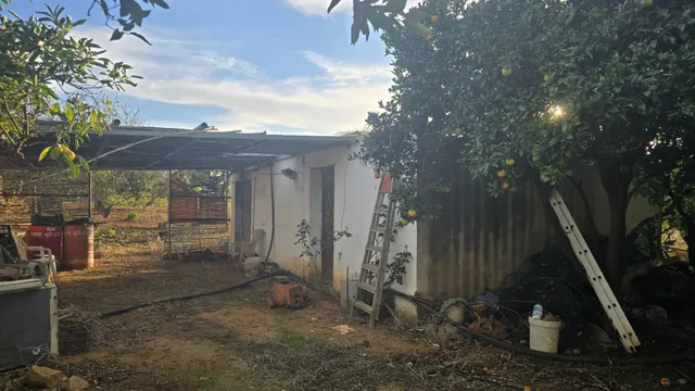 PARCELA -SEGREGADA CON REFUGIO EN ZONA PINAR DE LOS FRANCESES — 4