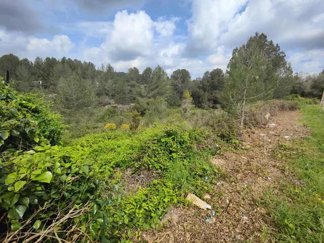 Terreno ideal en La Bisbal del Penedès — 5