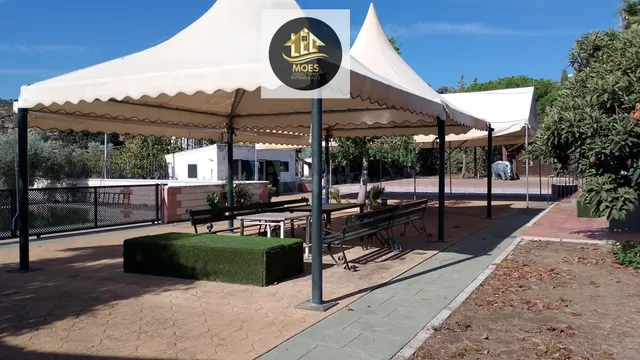 FINCA EN LINARES - foto 3