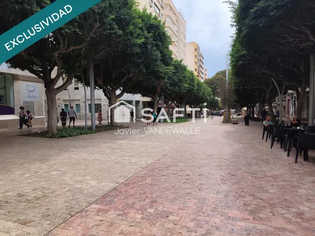 Tu negocio en el paseo de Almería… y en una oficina propia — 15