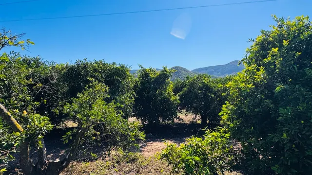 ¡OPORTUNIDAD ÚNICA EN LA VALLDIGNA! Oasis rústico con vistas espectaculares — 7