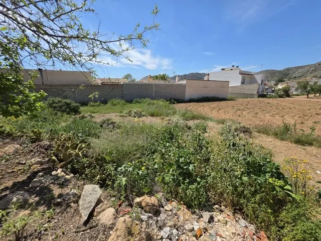Parcela en venta - Comunidad valenciana - foto 4