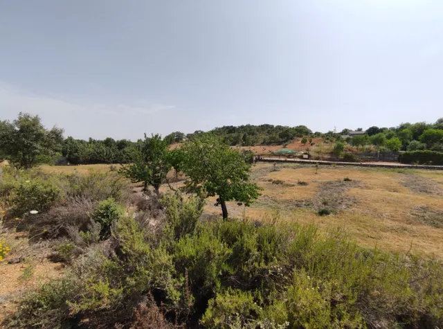 SE VENDE TERRENO URBANO EN URBANIZACIÓN FUENTE TAJUÑA DE LORANCA DE TAJUÑA (GUADALAJARA) — 24