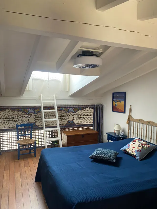 Sublime Atico en duplex en Casco Antiguo — 5