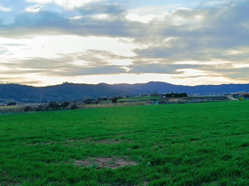 Dos parcelas rústicas juntas entre Tordera y Blanes