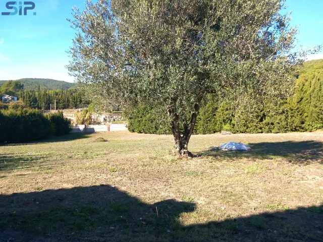 Casa 4 vientos en parcela llana de 3.533m2 — 39