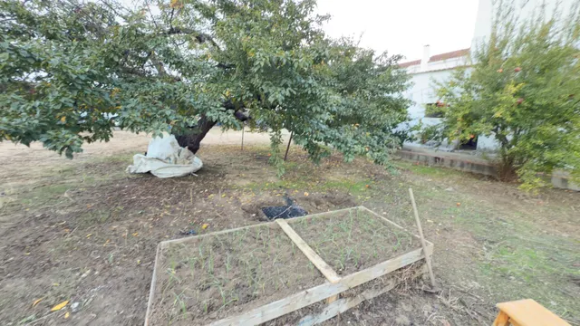 Amplio Terreno Urbano en Cartaya - Oportunidad Única — 9
