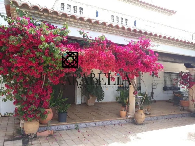 ZONA QUEMADILLAS - foto 2
