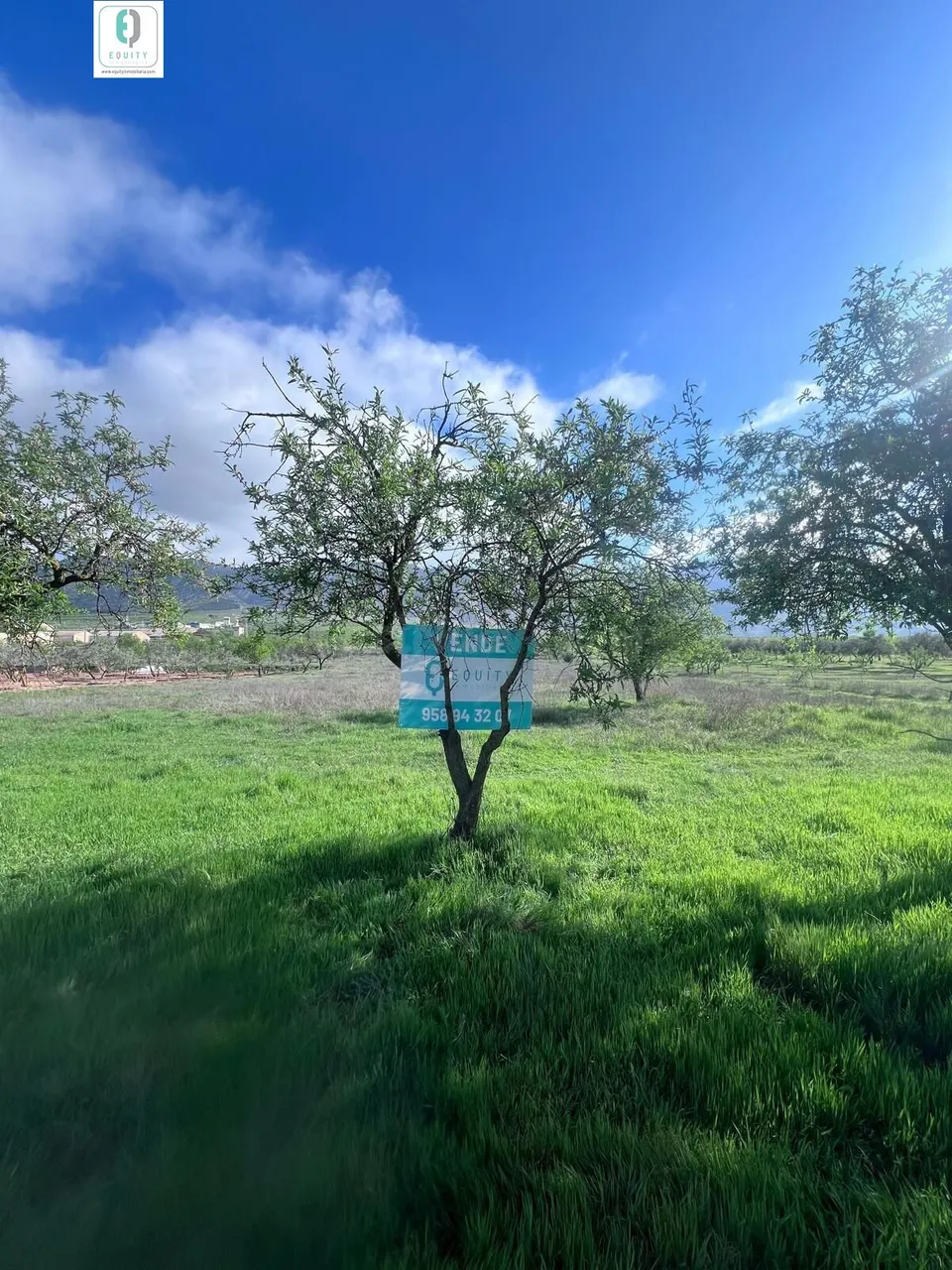TERRENO RUSTICO EN PADUL