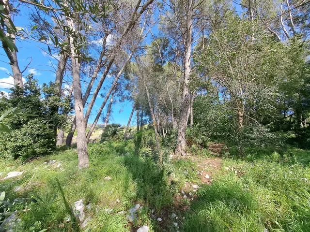 CASA RUSTICA CON TERRENO — 12