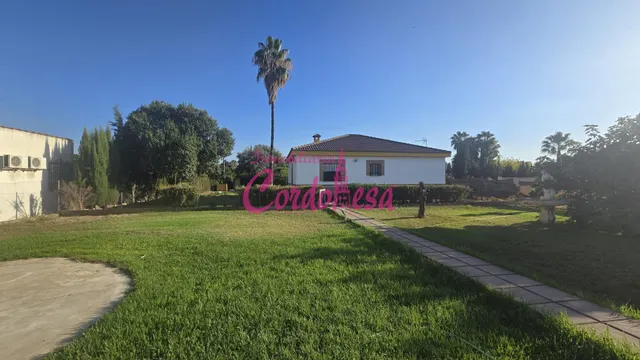 Oportunidad de Casa con Terreno en Villarrubia, Córdoba — 15